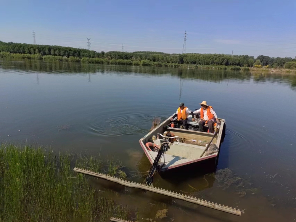 北运河管理处水利工程日常维修养护